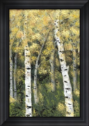 Framed Birch Treeline III Print