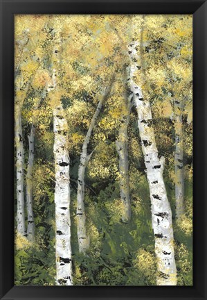 Framed Birch Treeline III Print