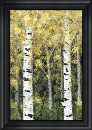 Framed Birch Treeline I Print