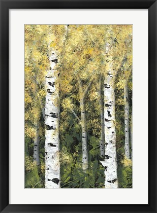 Framed Birch Treeline I Print