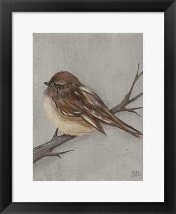 Framed Winter Bird III Print