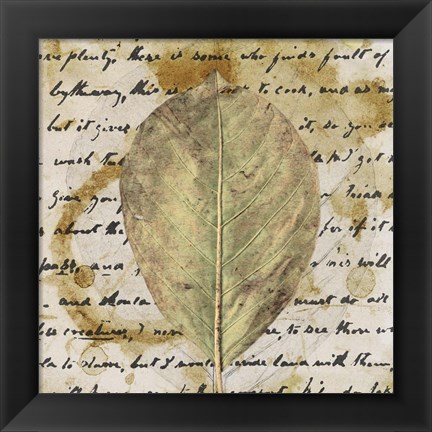 Framed Earth Leaf II Print