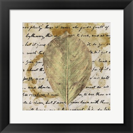 Framed Earth Leaf II Print