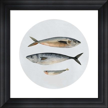 Framed Three Fish I Print