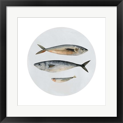 Framed Three Fish I Print