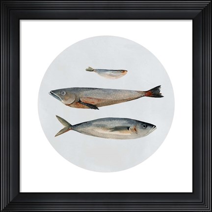 Framed Three Fish II Print