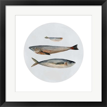 Framed Three Fish II Print