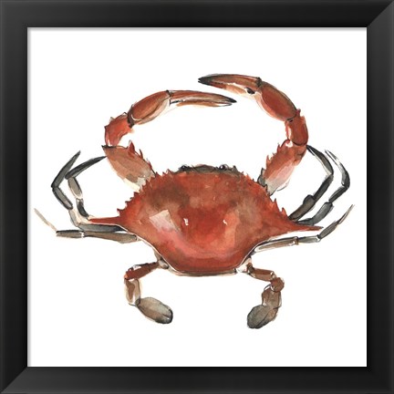 Framed Watercolor Crab I Print