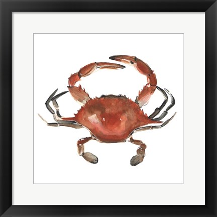 Framed Watercolor Crab I Print