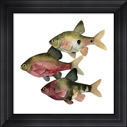 Framed Rainbow Fish I Print
