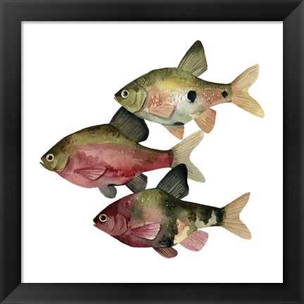 Framed Rainbow Fish I Print