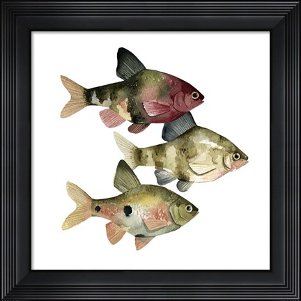 Framed Rainbow Fish II Print