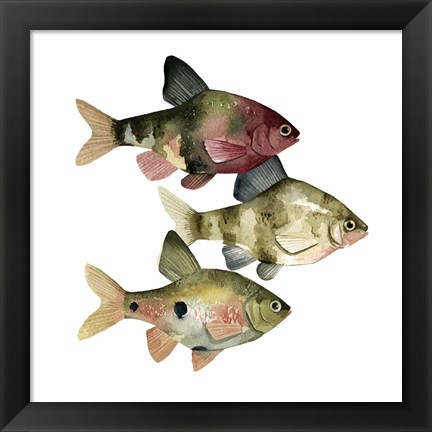 Framed Rainbow Fish II Print