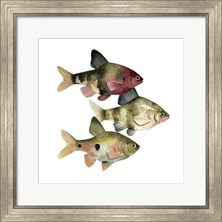 Framed Rainbow Fish II Print