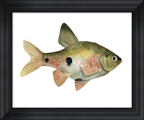 Framed Rainbow Fish III Print