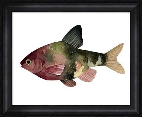 Framed Rainbow Fish IV Print