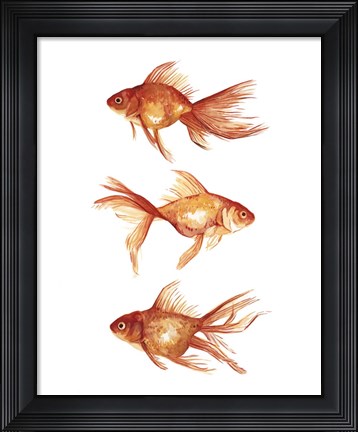 Framed Ornamental Goldfish III Print