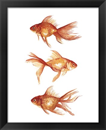 Framed Ornamental Goldfish III Print