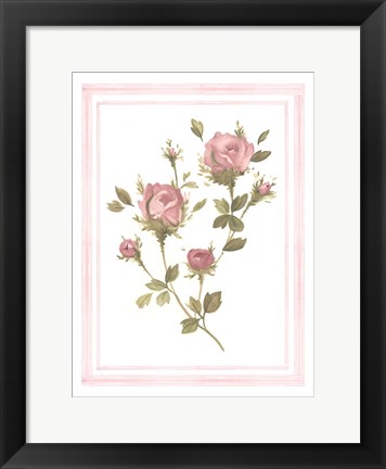 Framed Rose Pattern I Print
