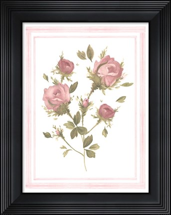 Framed Rose Pattern II Print