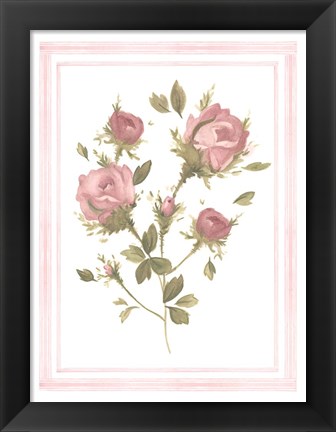 Framed Rose Pattern II Print