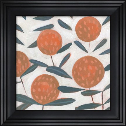 Framed Red Clover II Print