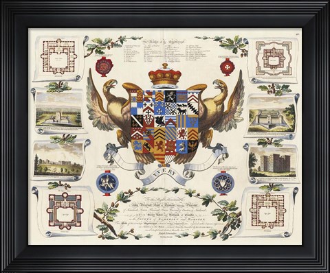 Framed Baronagium Genealogicum Print