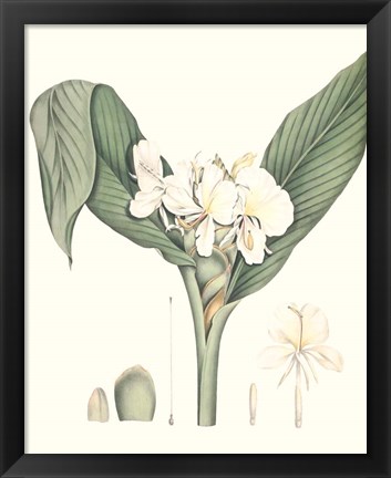 Framed Soft Tropical V Print