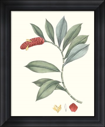 Framed Soft Tropical VI Print