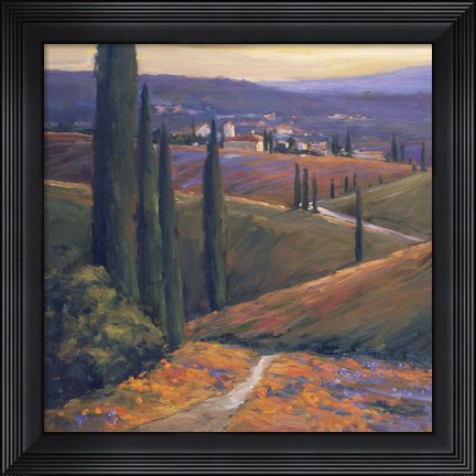 Framed Afternoon I Print