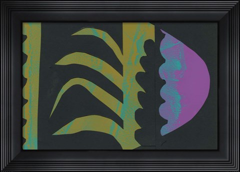 Framed Cabana II Print