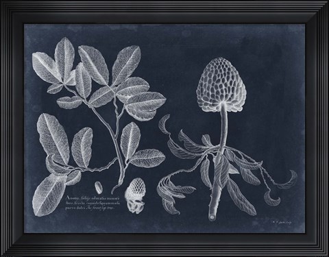 Framed Foliage on Navy II Print