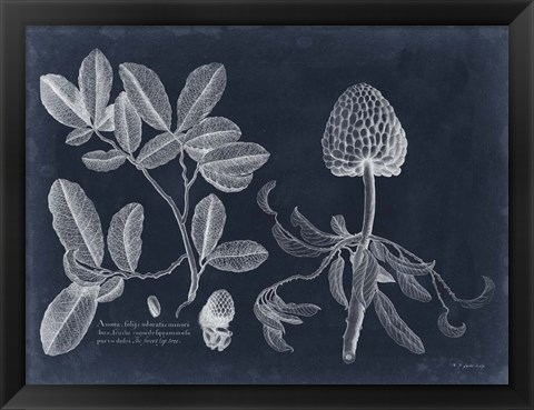 Framed Foliage on Navy II Print