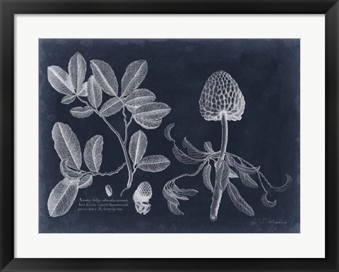 Framed Foliage on Navy II Print