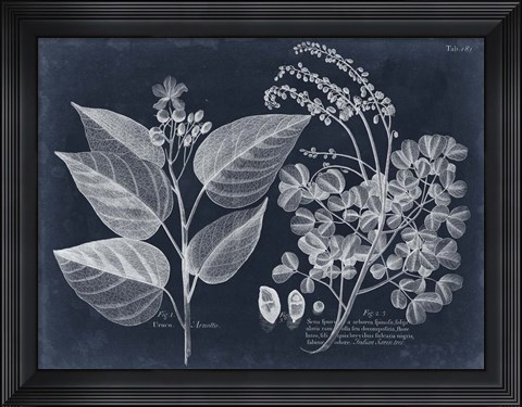 Framed Foliage on Navy III Print