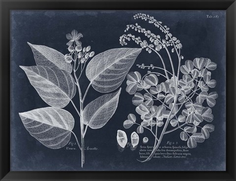 Framed Foliage on Navy III Print