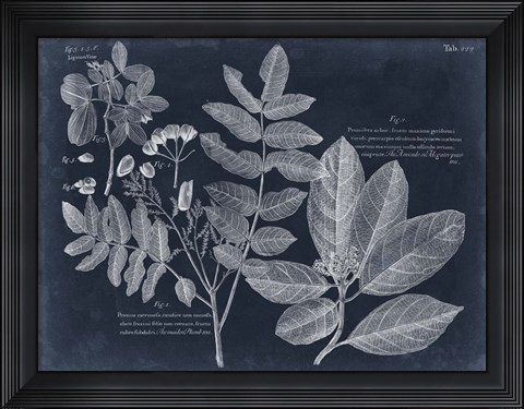 Framed Foliage on Navy V Print
