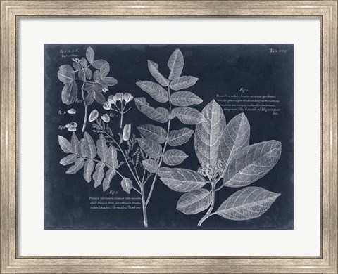 Framed Foliage on Navy V Print