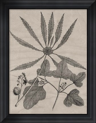 Framed Eloquent Leaves III Print