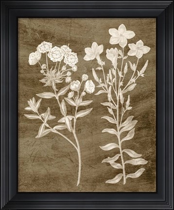 Framed Botanical in Taupe I Print
