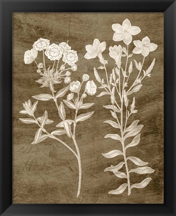 Framed Botanical in Taupe I Print