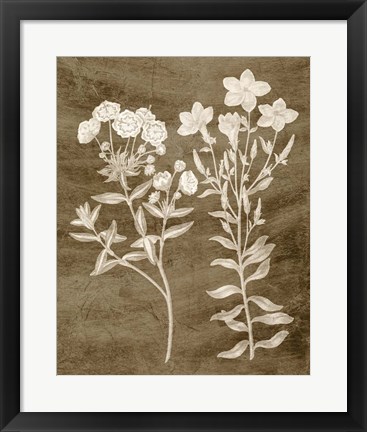 Framed Botanical in Taupe I Print