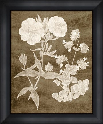 Framed Botanical in Taupe II Print