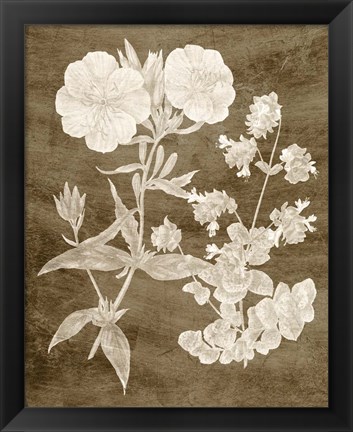 Framed Botanical in Taupe II Print