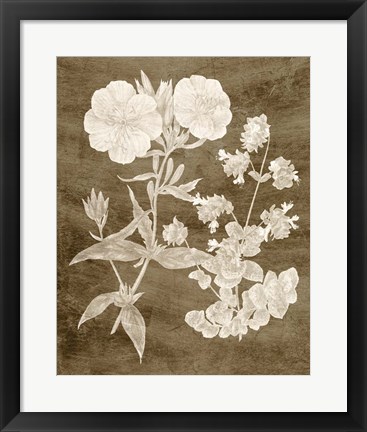 Framed Botanical in Taupe II Print