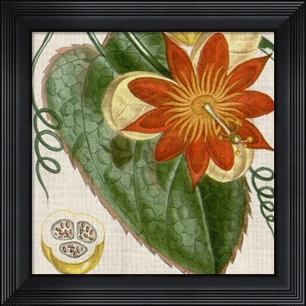 Framed Cropped Turpin Tropicals I Print