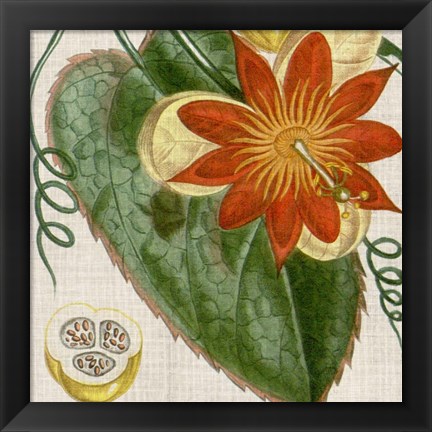 Framed Cropped Turpin Tropicals I Print