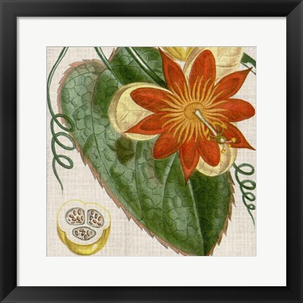 Framed Cropped Turpin Tropicals I Print