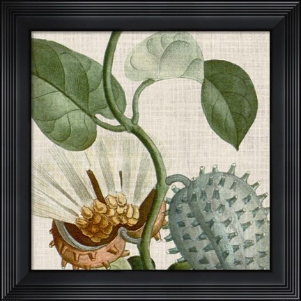 Framed Cropped Turpin Tropicals II Print