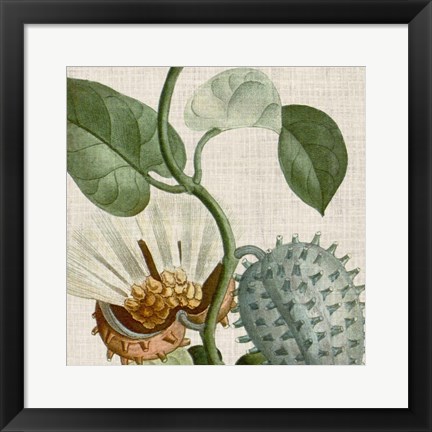 Framed Cropped Turpin Tropicals II Print